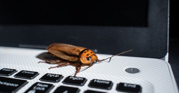 Ilustración de un insecto sobre una pantalla de código, que representa los bugs en una aplicación
